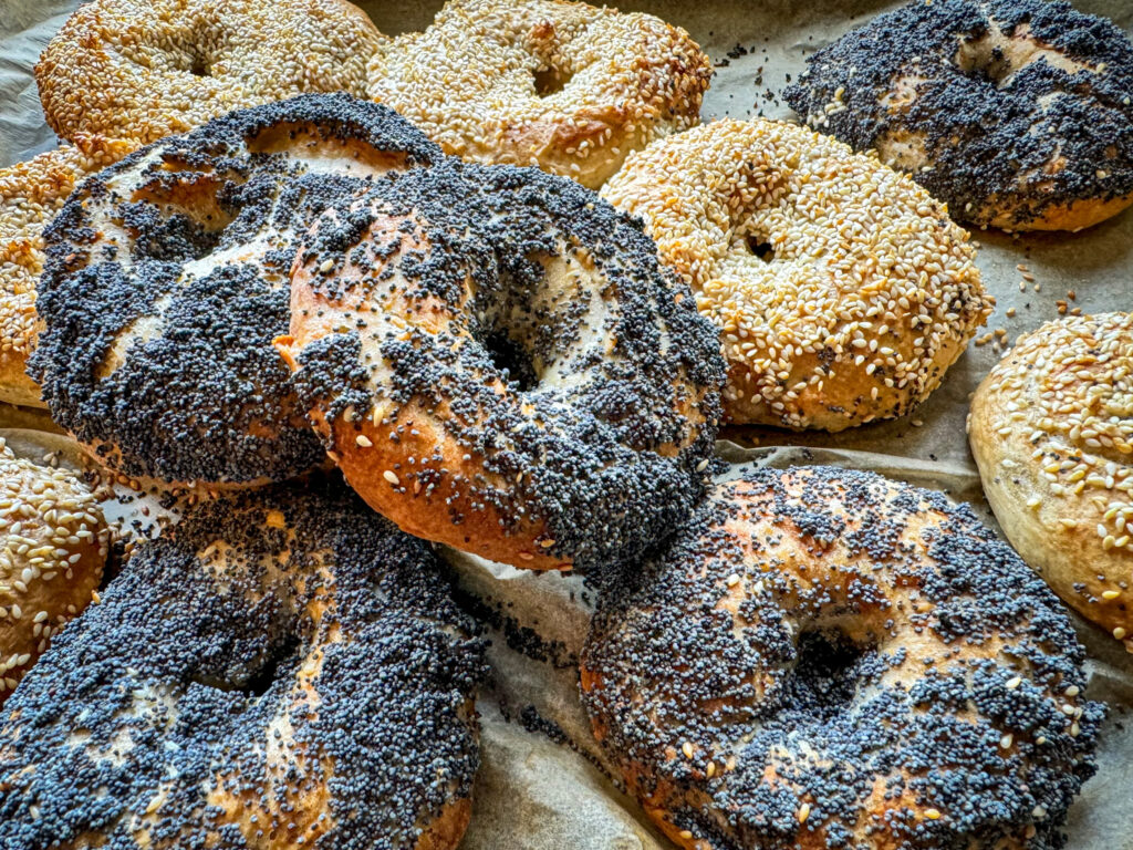 Fodmap Bagel
